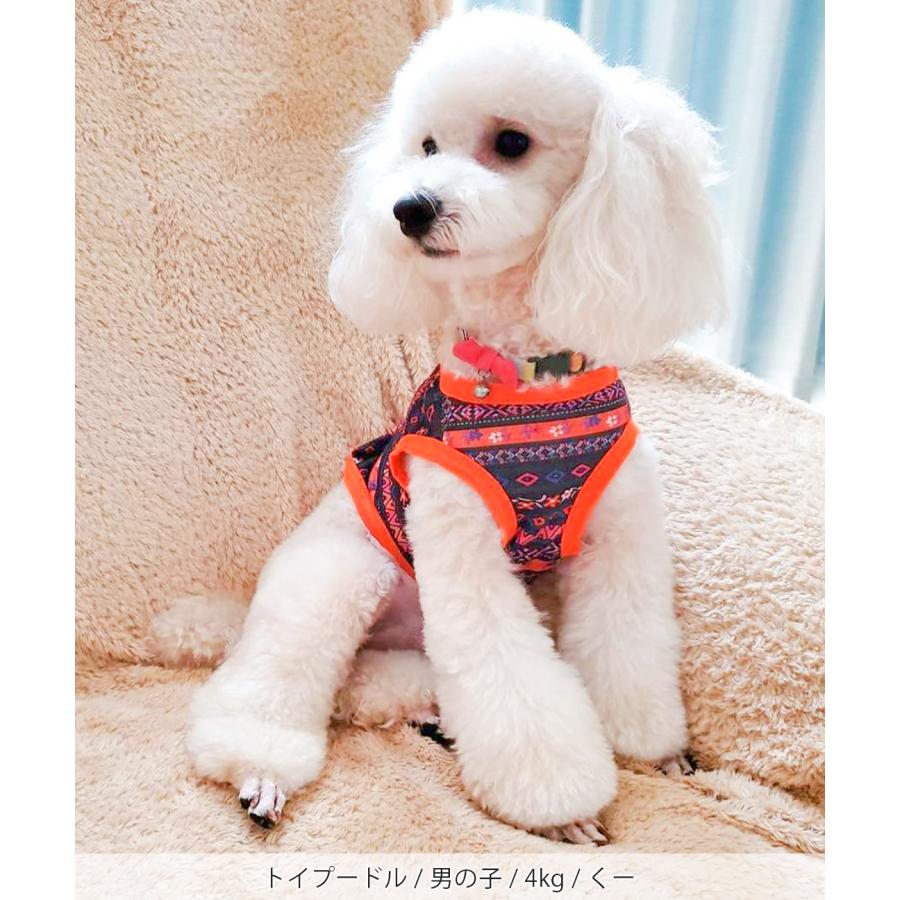 ドッグウェア 犬服 ペットウェア ペット服 犬用 タンクトップ カラフル 薄手 小型犬 かわいい チロリボーダードッグウェア lsjcd308｜titicaca-y｜12