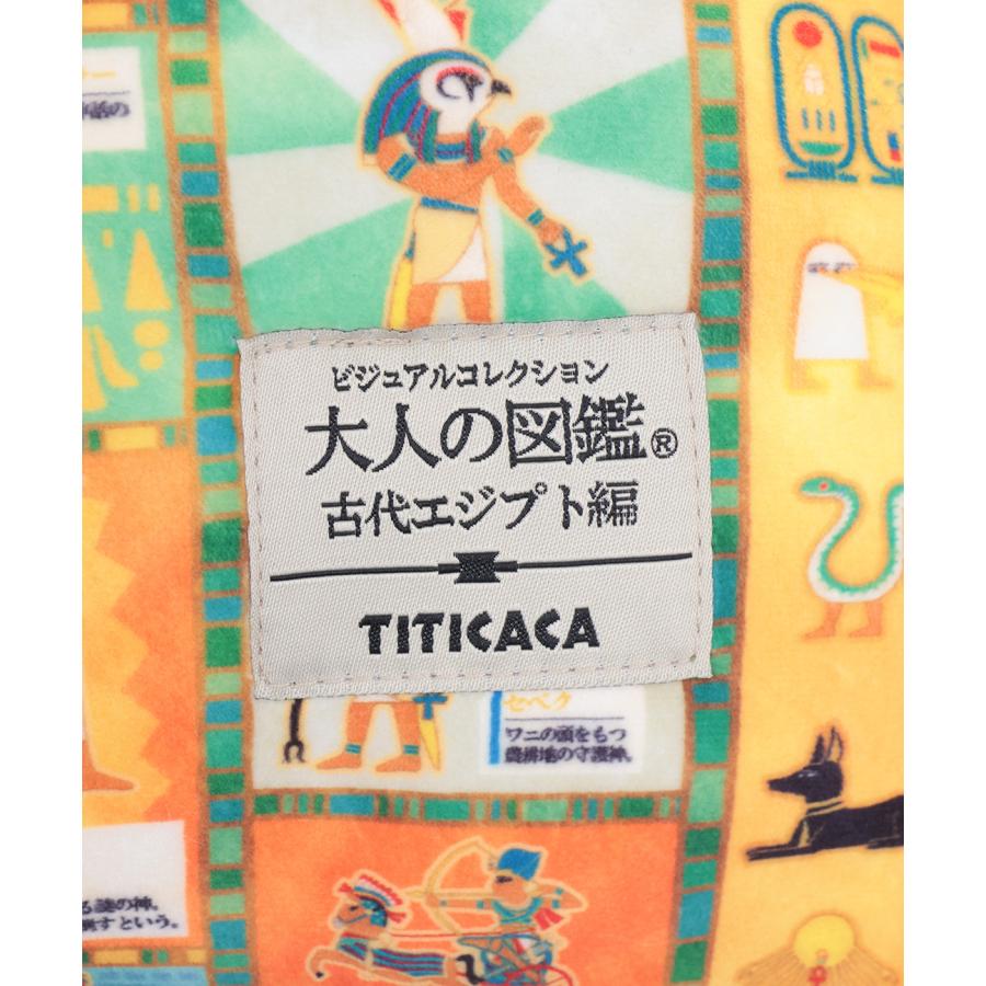 チチカカ（TITICACA） 大人の図鑑コラボ ダイカットクッション