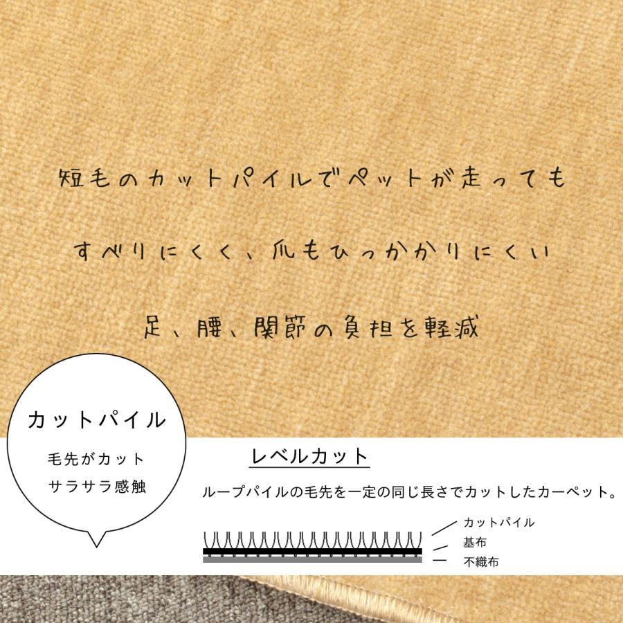 Tsujikawa カーペット 6畳 極厚 防ダニ 丸巻保管 抗菌防臭 犬 猫 Tsujikawa カーペット 6畳 極厚 防ダニ 丸巻保管 抗菌防臭 犬 猫