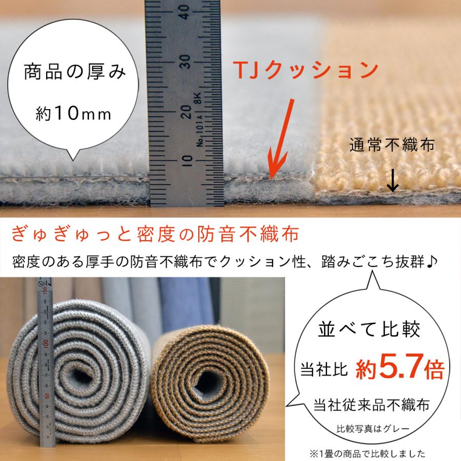 Tsujikawa カーペット 6畳 極厚 防ダニ 丸巻保管 抗菌防臭 犬 猫 Tsujikawa カーペット 6畳 極厚 防ダニ 丸巻保管 抗菌防臭 犬 猫