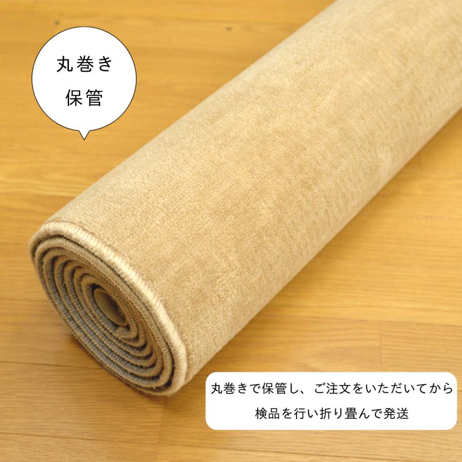 Tsujikawa カーペット 6畳 極厚 防ダニ 丸巻保管 抗菌防臭 犬 猫 Tsujikawa カーペット 6畳 極厚 防ダニ 丸巻保管 抗菌防臭 犬 猫