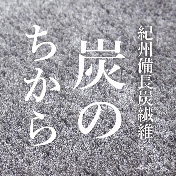 Tsujikawa カーペット ラグ 190 240 紀州備長炭繊維 洗える 防ダニ