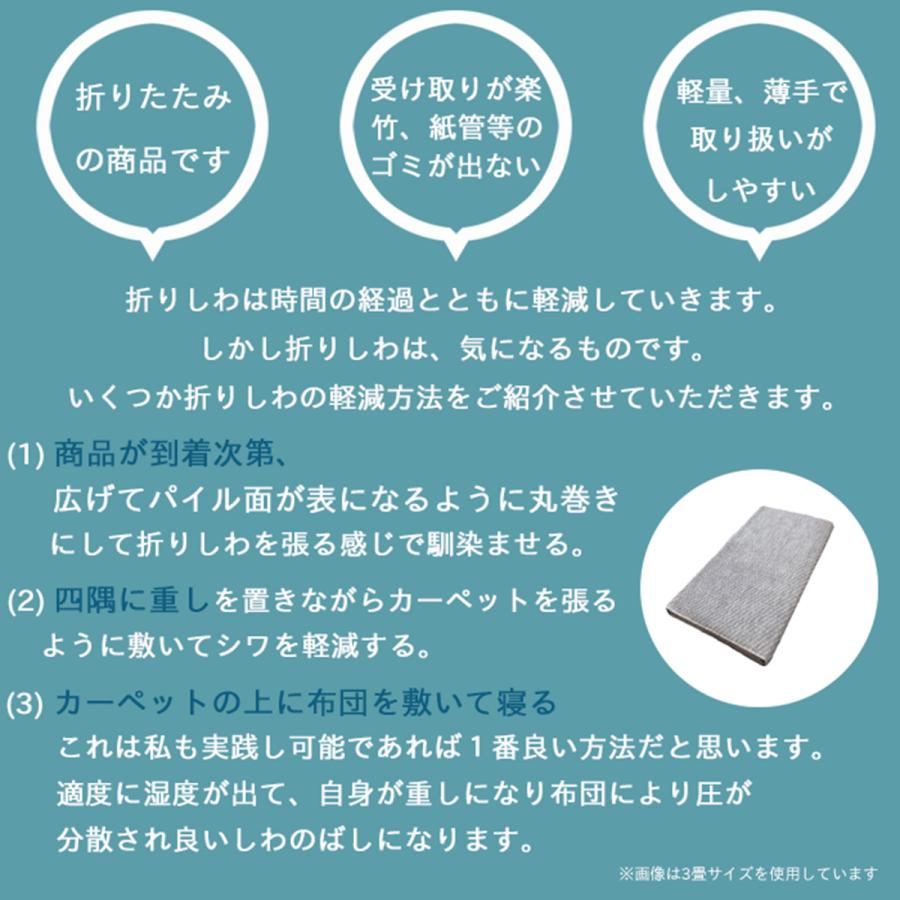 Tsujikawa カーペット 4畳半 日本製 抗菌防臭 軽量薄手 ジェミニ 261