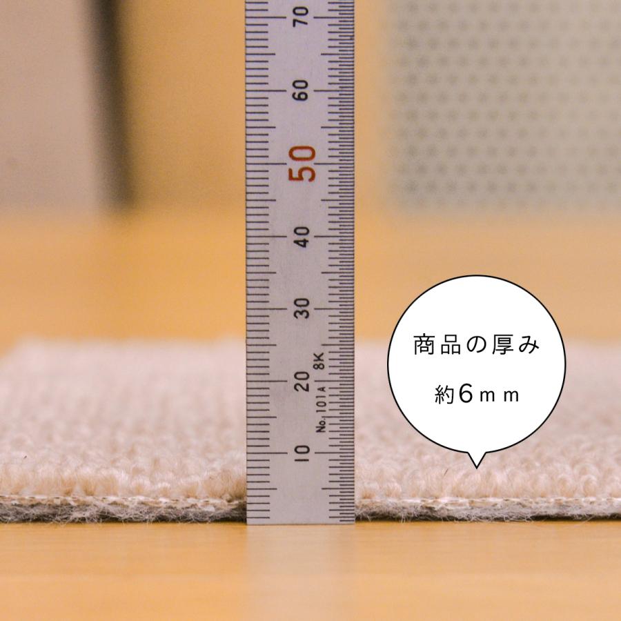 Tsujikawa カーペット 6畳 日本製 抗菌防臭 軽量薄手 ジェミニ 261