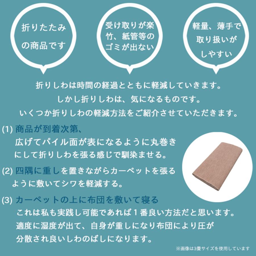 Tsujikawa カーペット 6畳 日本製 抗菌防臭 軽量薄手 ジェミニ 261