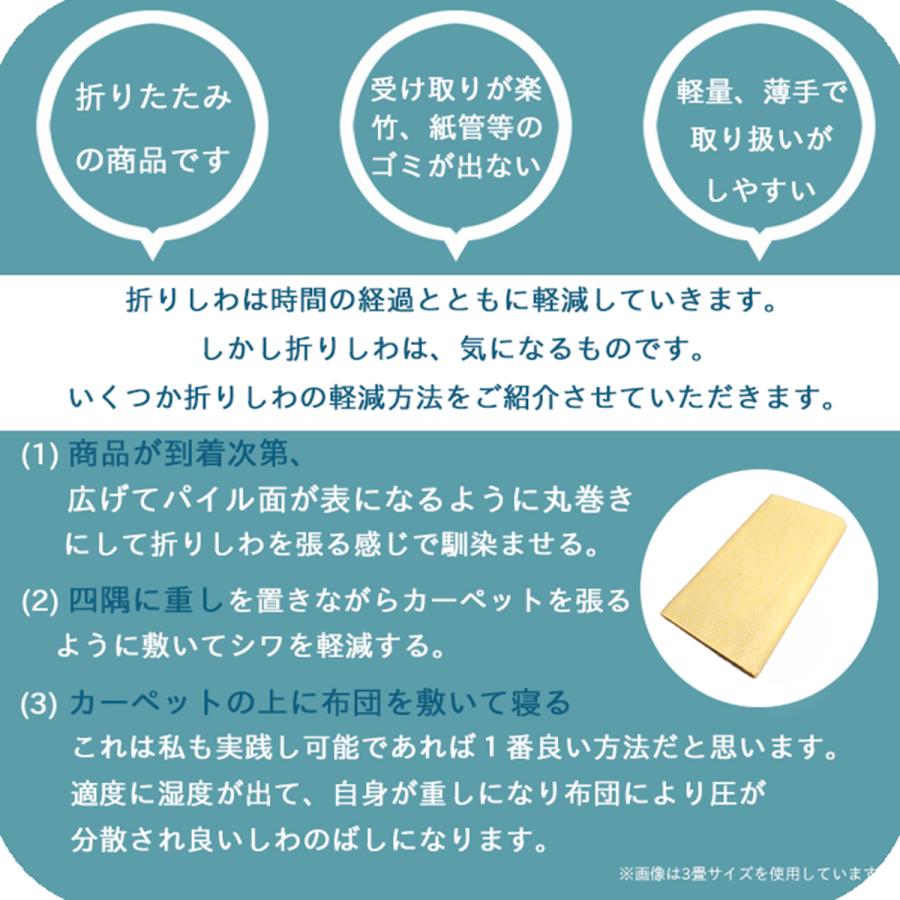 Tsujikawa カーペット 6畳 日本製 抗菌防臭 軽量薄手 ジェミニ 261