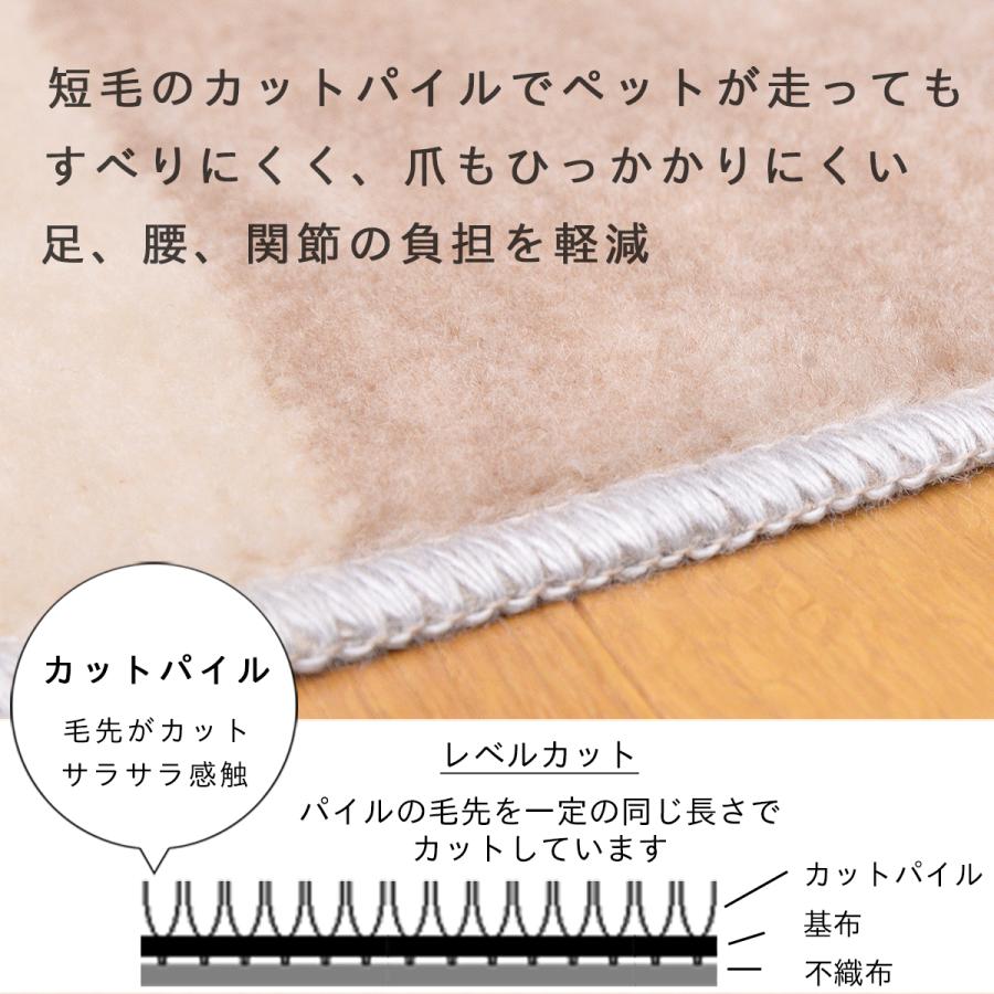 Tsujikawa カーペット 江戸間 6畳 高機能 絨毯 敷物 消臭 防ダニ 抗菌 