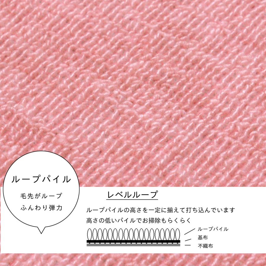 Tsujikawa 防ダニ カーペット 6畳 日本製 抗菌防臭 ノースポール Tsujikawa 防ダニ カーペット 6畳 日本製 抗菌防臭 ノースポール
