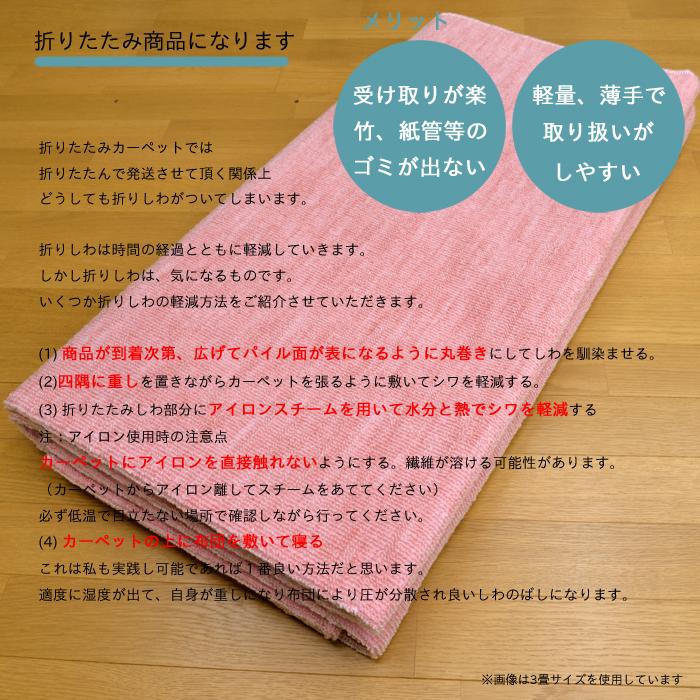 Tsujikawa 防ダニ カーペット 6畳 日本製 抗菌防臭 ノースポール Tsujikawa 防ダニ カーペット 6畳 日本製 抗菌防臭 ノースポール