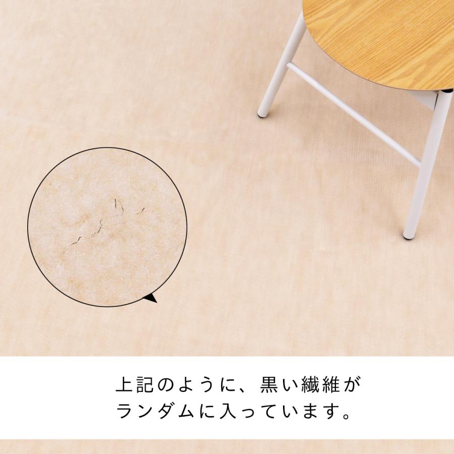 Tsujikawa 防音 ペット対応 カーペット 江戸間 6畳 サイズ 抗菌防臭