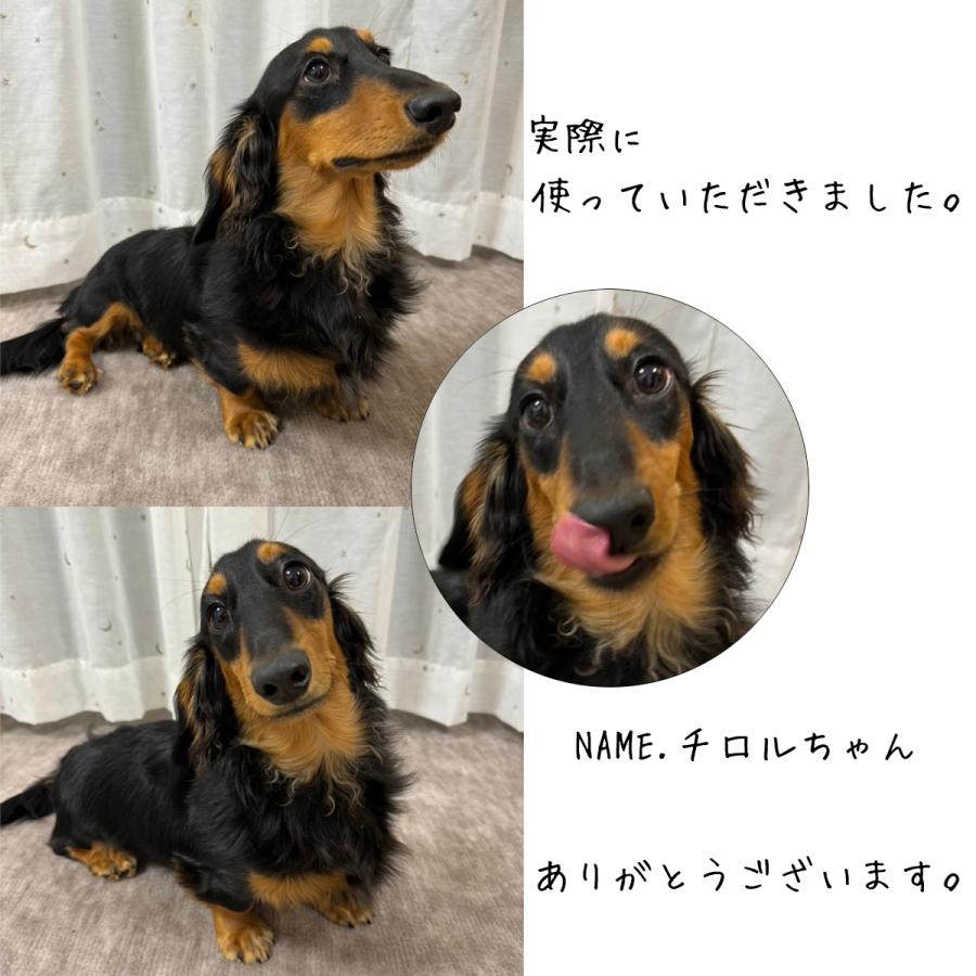 Tsujikawa 防音 ペット対応 カーペット 江戸間 6畳 サイズ 抗菌防臭