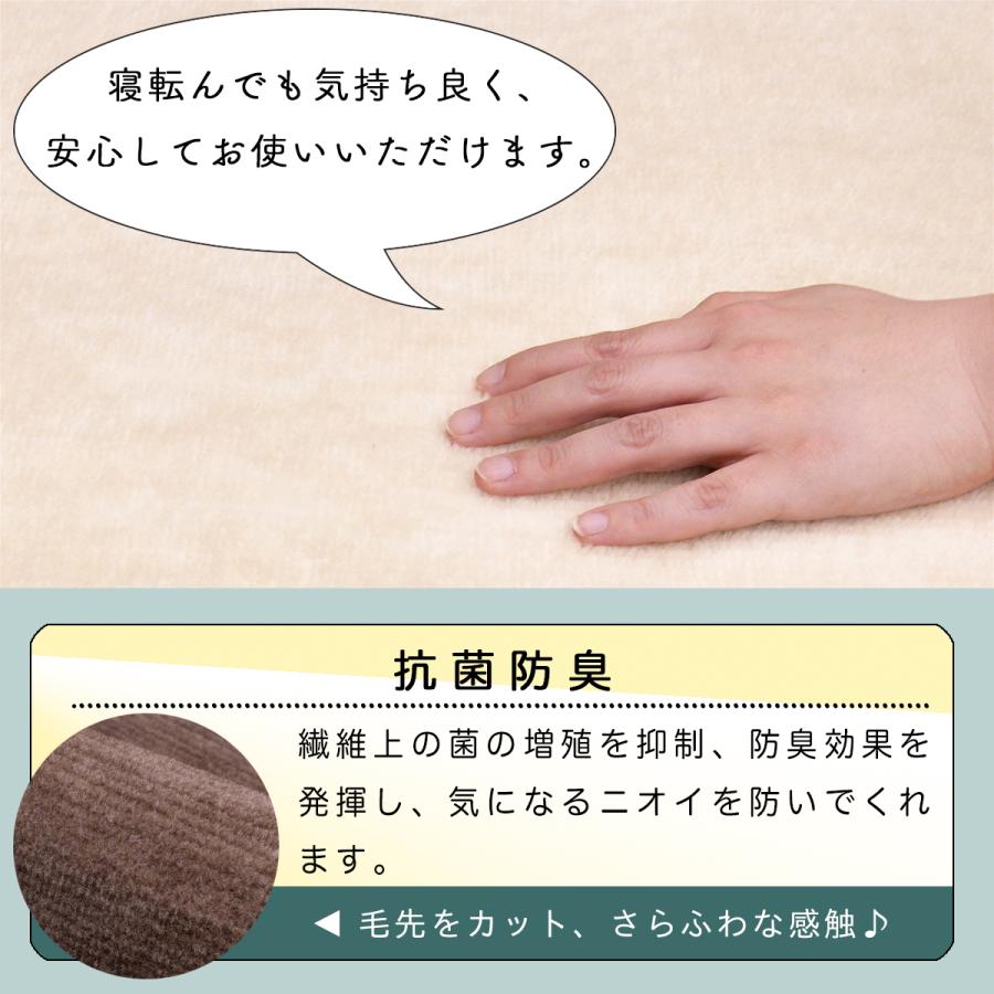 Tsujikawa 防音 ペット対応 カーペット 江戸間 6畳 サイズ 抗菌防臭