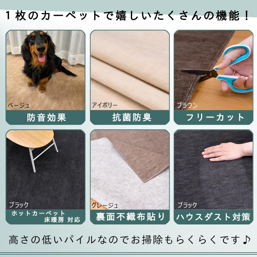 Tsujikawa 防音 ペット対応 カーペット 江戸間 6畳 サイズ 抗菌防臭