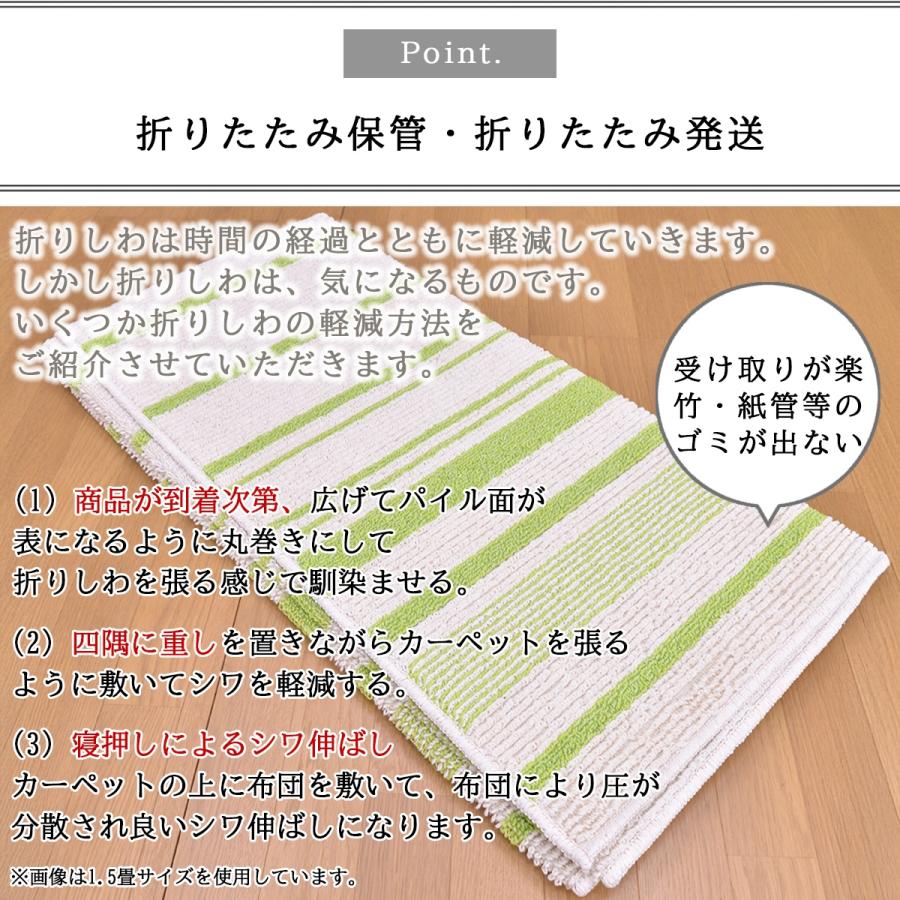 Tsujikawa カーペット ラグ 185 240 綿 コットン 綿混素材 パキラ