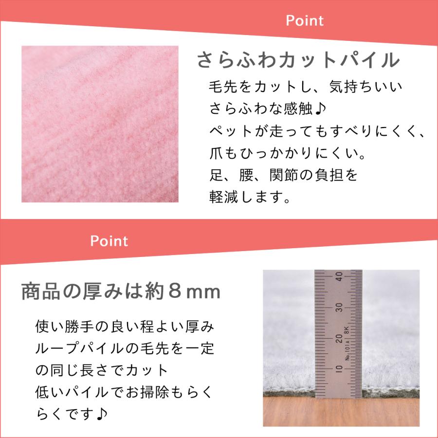 Tsujikawa 防ダニ カーペット 江戸間 6畳サイズ 日本製 抗菌防臭 犬 猫