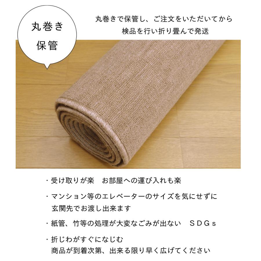 Tsujikawa カーペット 6畳 防音 防ダニ 抗菌防臭 厚手 Tsujikawa カーペット 6畳 防音 防ダニ 抗菌防臭 厚手