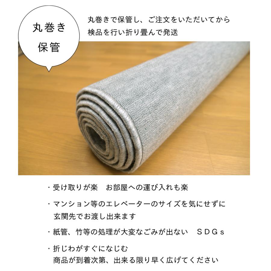 Tsujikawa カーペット 6畳 防音 防ダニ 抗菌防臭 厚手 Tsujikawa カーペット 6畳 防音 防ダニ 抗菌防臭 厚手
