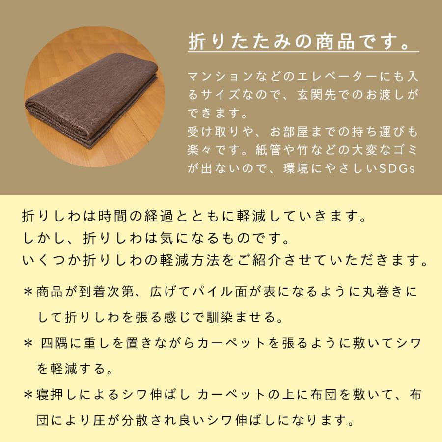 Tsujikawa 防音 カーペット 江戸間 10畳 サイズ 抗菌防臭 厚手