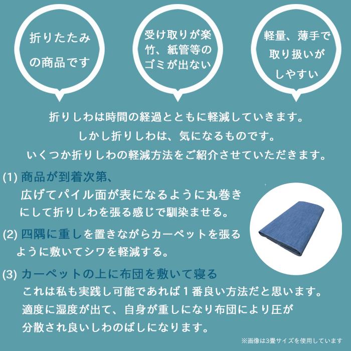 Tsujikawa カーペット 4畳半 犬 猫 ペット対応 日本製 抗菌防臭 Tsujikawa カーペット 4畳半 犬 猫 ペット対応 日本製 抗菌防臭