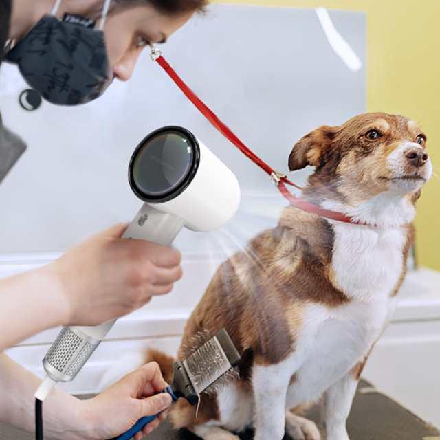 ドライヤー ヘアドライヤー 速乾 冷熱風 大風量 マイナスイオン