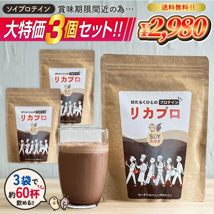送料無料 訳あり大特価3個セット／賞味期限間近26年3月 ソイ