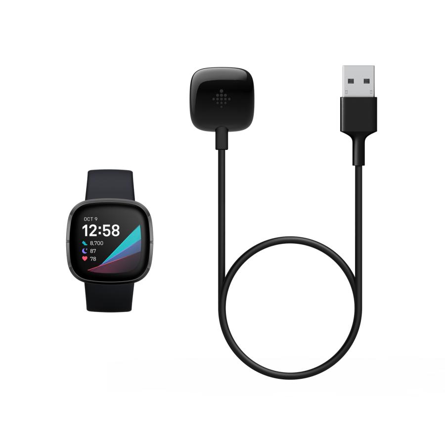 Google Fitbit スマートウォッチ用充電ケーブル 純正 USB 日本正規品