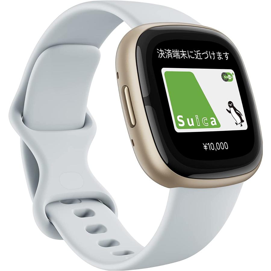 Google Fitbit Sense 2 スマートウォッチ ブルーミスト/ソフト Google Fitbit Sense 2 スマートウォッチ ブルーミスト/ソフト