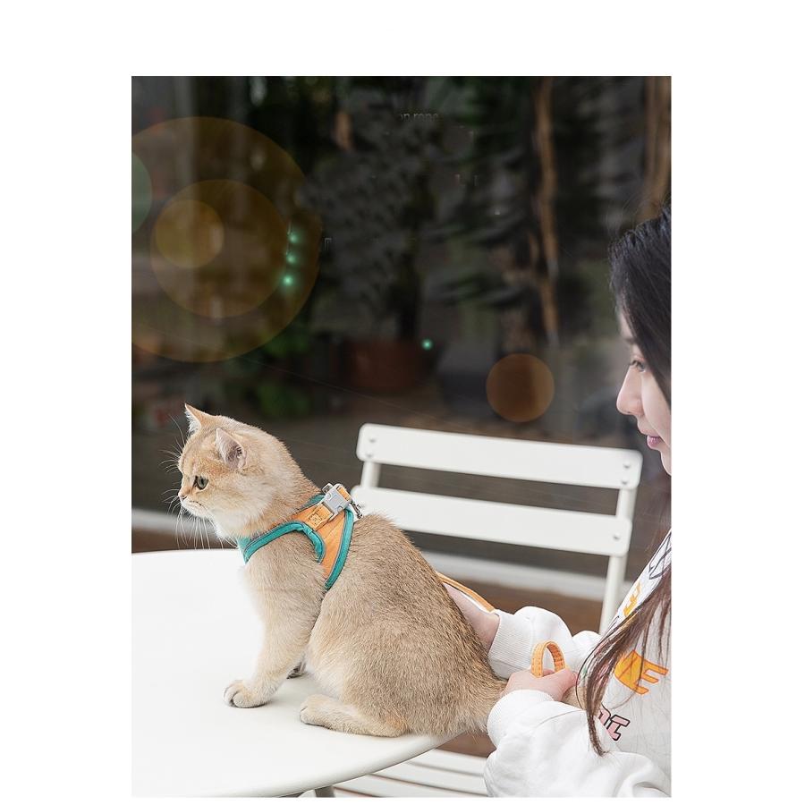 値段が激安 猫 ハーネス リード 散歩 ダブルロック 抜けない 外れない かわいい おしゃれ 服 脱げない 通気性 鹿革 猫用 ペット Discoversvg Com