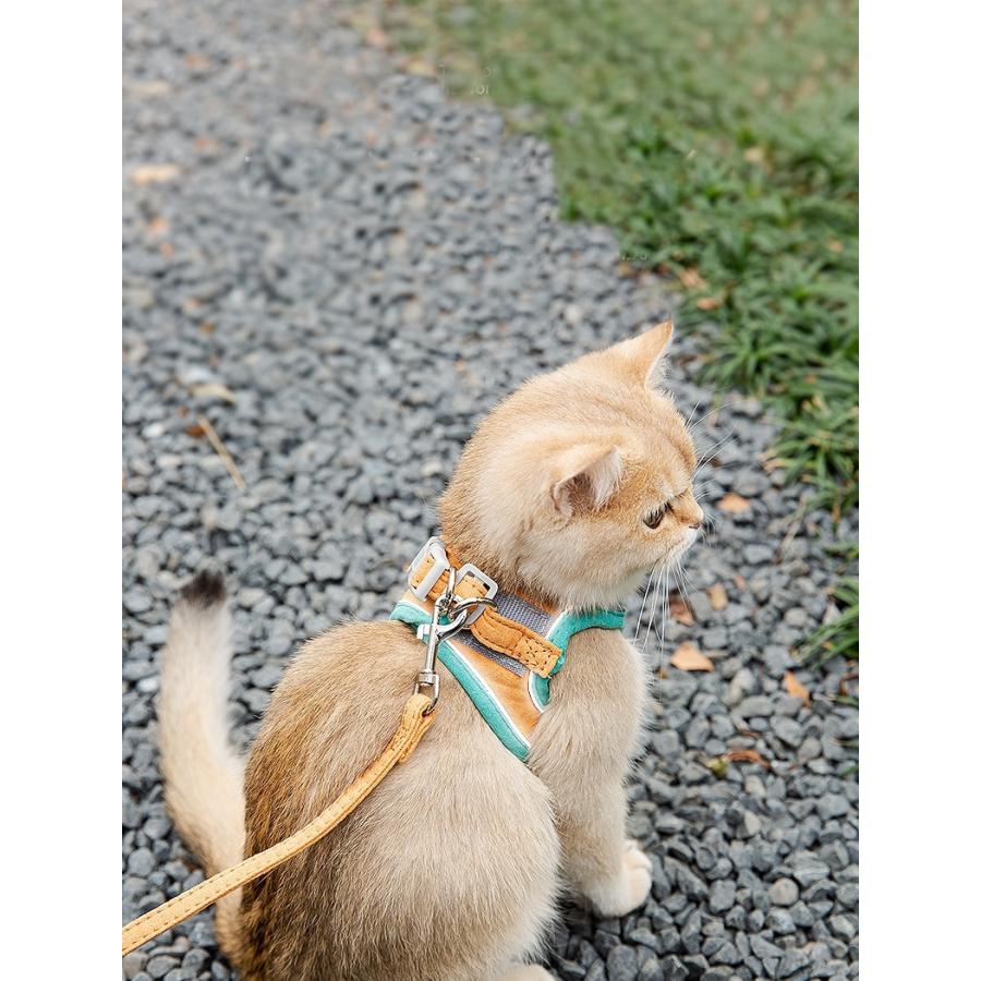 猫 ハーネス リード 散歩 ダブルロック 抜けない 外れない かわいい  