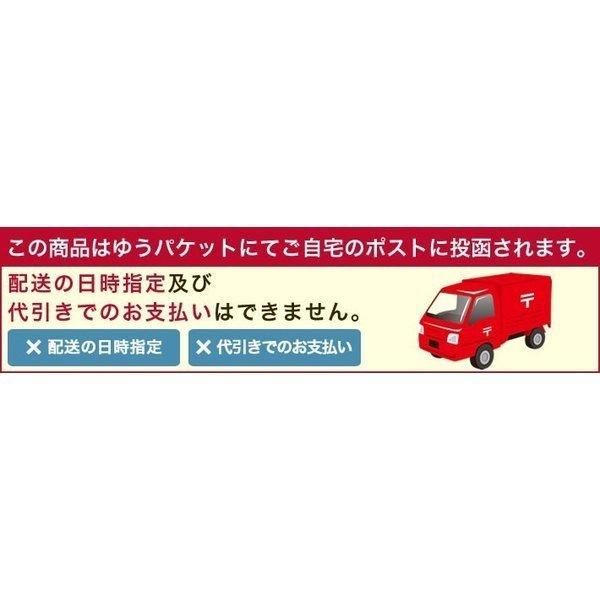 TransMemory（KIOXIA） KIOXIA キオクシア 2個セット 16GB USBメモリー 