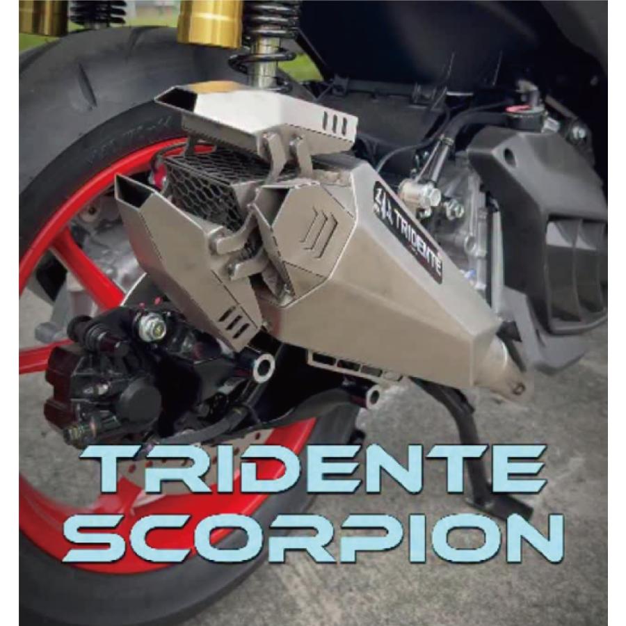 3Tech Racing Tridente Scorpion Daily ロボットマフラー 可変バルブ 差込口径38mm バイク用 スリップオン |  | 05