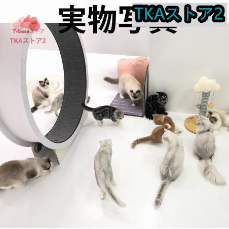 キャットホイール 猫の車輪 猫の回し車 猫のトレッドミルの車輪 猫 キャットホイール 猫の車輪 猫の回し車 猫のトレッドミルの車輪 猫