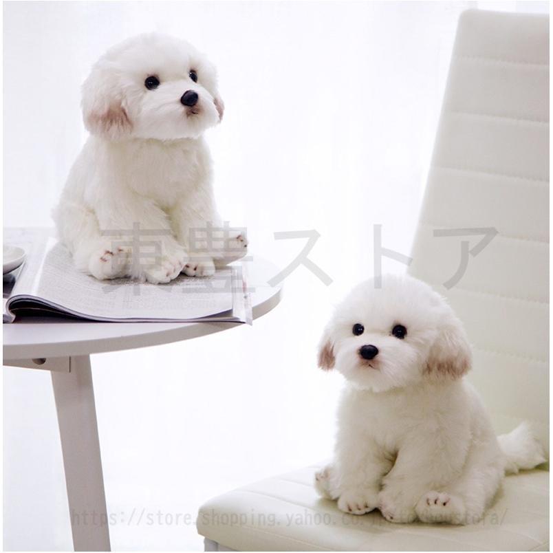 マルチーズ ぬいぐるみ リアルイヌいぬ犬ぬいぐるみ ペット マルチーズ ぬいぐるみ リアルイヌいぬ犬ぬいぐるみ ペット