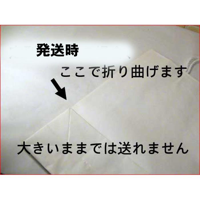 ペーパーバッグ　無地　縦長　手提げ袋 ・ホワイト(横38cmｘ高さ50cm、底幅15cm) 0117-14  (横38cmｘ高さ50cm、底幅15cm)　プレゼント ギフト | シモジマ | 03
