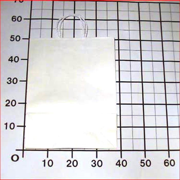 ペーパーバッグ　無地　縦長　手提げ袋 ・ホワイト(横38cmｘ高さ50cm、底幅15cm) 0117-14  (横38cmｘ高さ50cm、底幅15cm)　プレゼント ギフト | シモジマ | 05