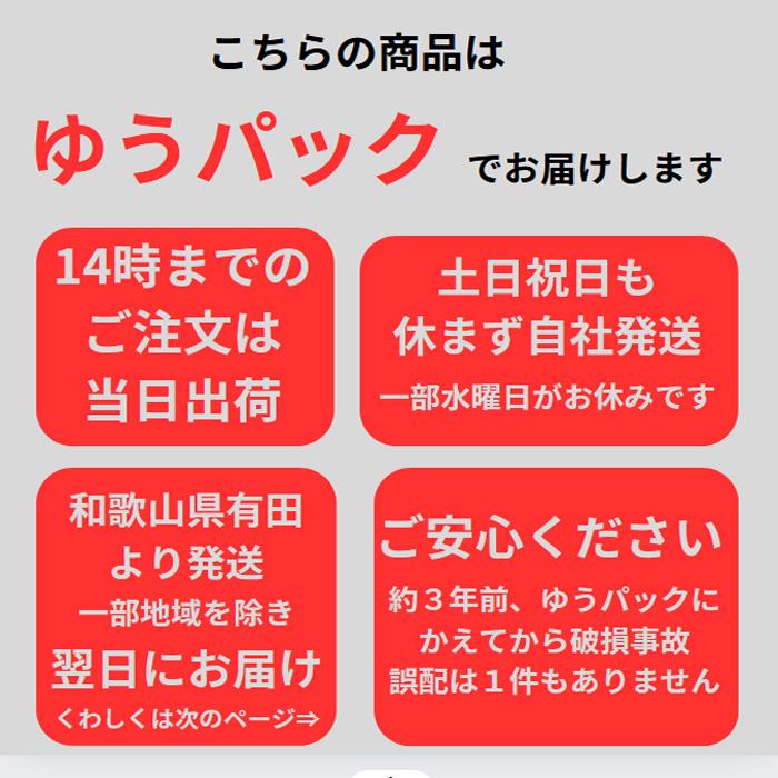 トトロのおうち・切り株 0220-50  (となりのトトロ ぬいぐるみ ヌイグルミ 人形)｜tkcoll｜10