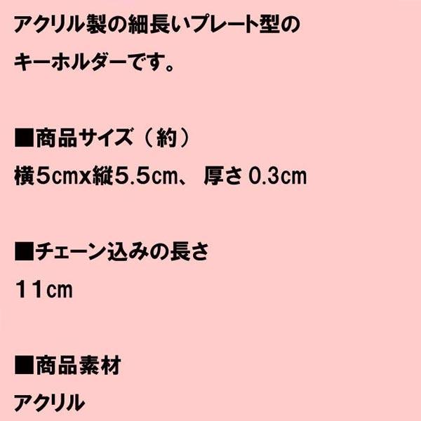 BT21 ビーティーイシビル BTS アクリル 両面キーホルダー BT21 キーリング　BT21 キーリング　レッド RJ （アールジェイ） JIN 0428-43 | BT21 | 05