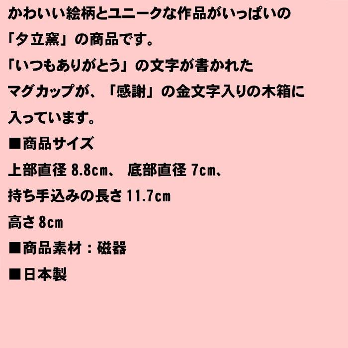 うさぎ柄 マグカップ 桐箱入り 感謝 「いつもありがとう」のメッセージ入り 日本製 ウサギ柄 マグカップ 0518-06 | ブランド登録なし | 07