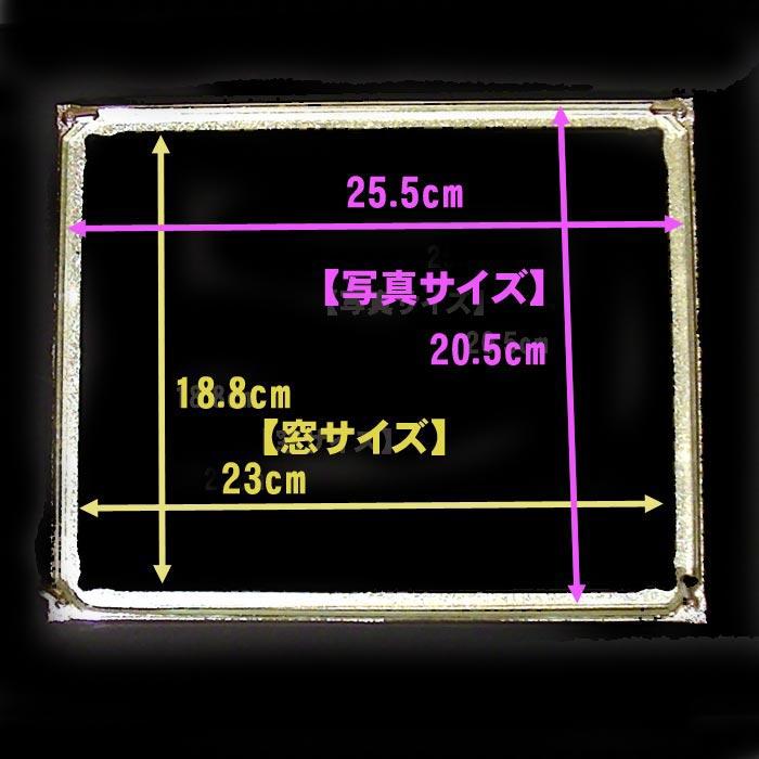 フォトフレーム 写真立て 六つ切りサイズ ブライダル 結婚祝い クリスタルリング フォトフレーム 0711-35　プレゼント ギフト | ブランド登録なし | 10