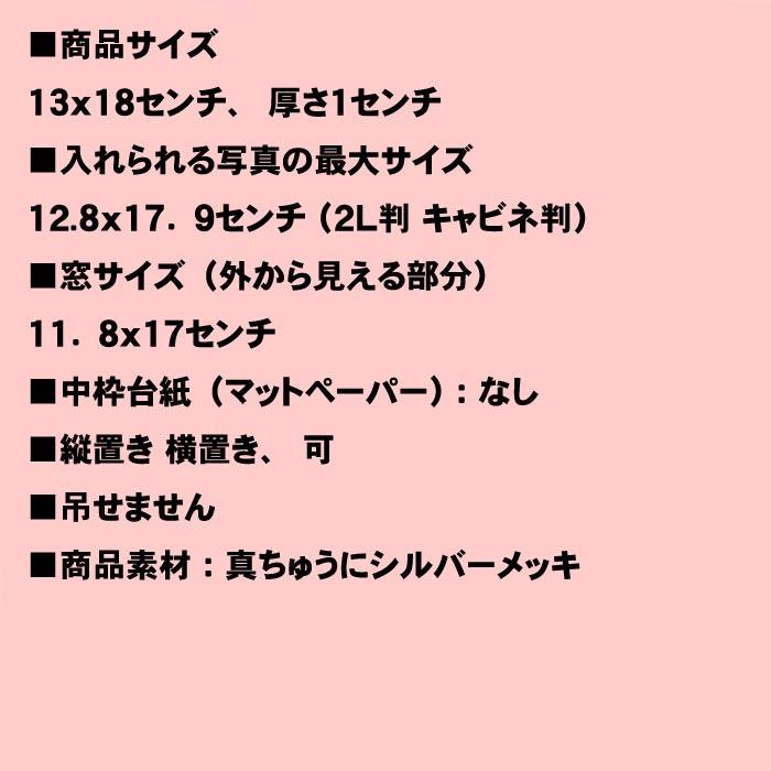 写真立て フォトフレーム L判 2枚 2L判サイズ ブラス　真ちゅう リビング ゴールド 0811-93 | ブランド登録なし | 12