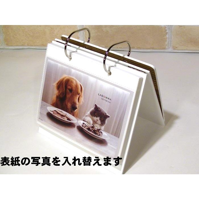 写真立て フォトフレーム ポストカードサイズ ペット 犬猫 パタパタ アルバムフレーム 50枚収納・ナチュラル 0812-94 | ブランド登録なし | 04