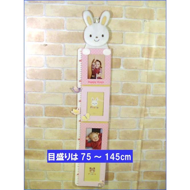 身長計付きフォトフレーム身長計 出産祝い 新生児 記録 ぬいぐるみ うさぎさん 0814-06 | ブランド登録なし | 01