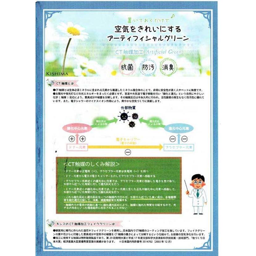光触媒加工造花　アレンジフラワー 半永久的に 消臭 室内 空気清浄 抗菌・ピンクローズ　結婚祝い 開店祝い お祝い 誕生日 0919-22 |  | 06