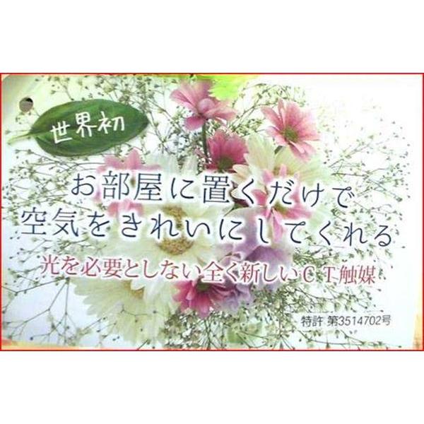 光触媒加工造花 アレンジフラワー 半永久的に 消臭 室内 空気清浄 抗菌・ローズポンポンマム　結婚祝い 開店祝い お祝い 誕生日 0919-23 |  | 06