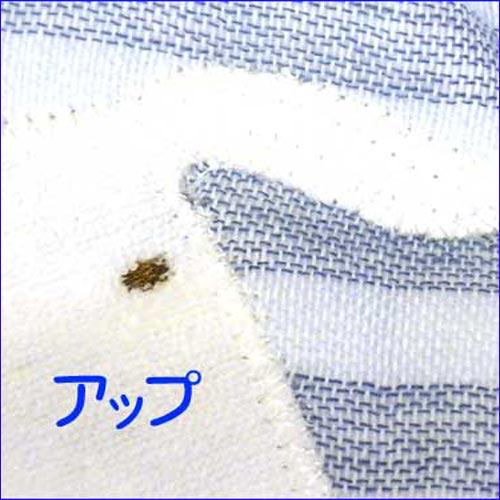 ベビーパンツ Ｐｏｎちゃん ガーゼ・ブルー 日本製 今治タオル 2121-09 | 今治タオル | 03