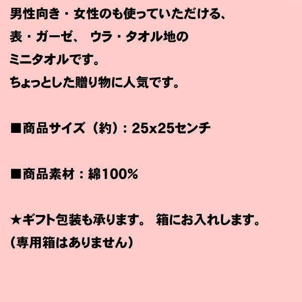 アクアスキュータム ブランド ガーゼ タオルハンカチ 2216-05　プレゼント ギフト | Aquascutum | 07