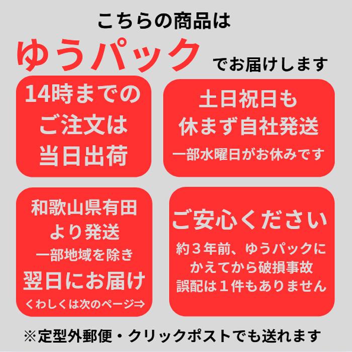 エプロン　後ろH型 ボタン止め　かわいい シンプル 保育士 2315-08｜tkcoll｜12