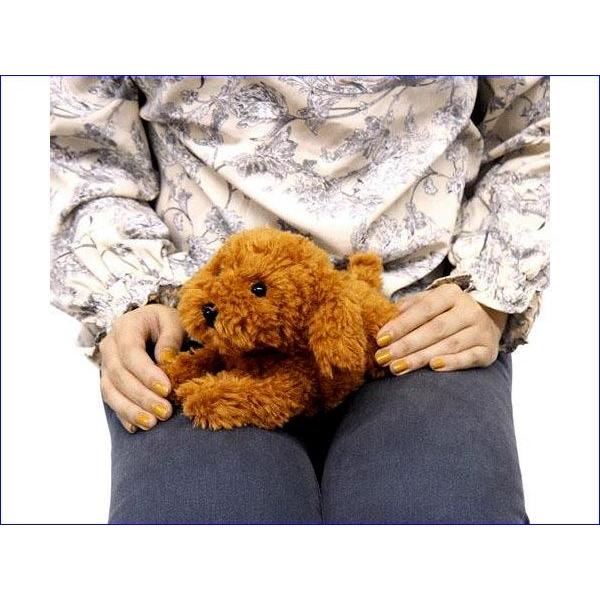 ひざわんこ　ぬいぐるみ・トイプードル　ブラウン 2329-34　プレゼント ギフト | ブランド登録なし | 08