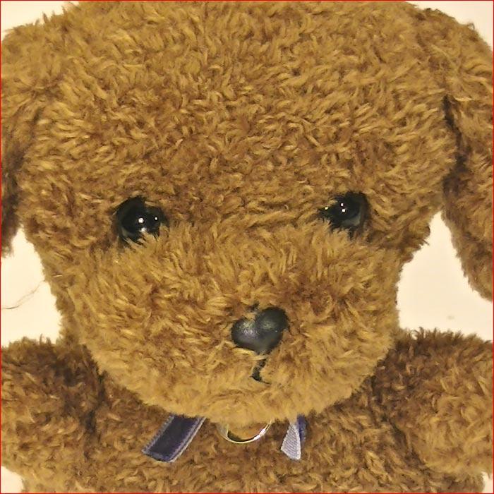 ぬいぐるみ プードル・ダークブラウン 手乗りサイズ ふわふわ ふんわり ふかふか お土産 ギフト プレゼント 2329-45 |  | 01