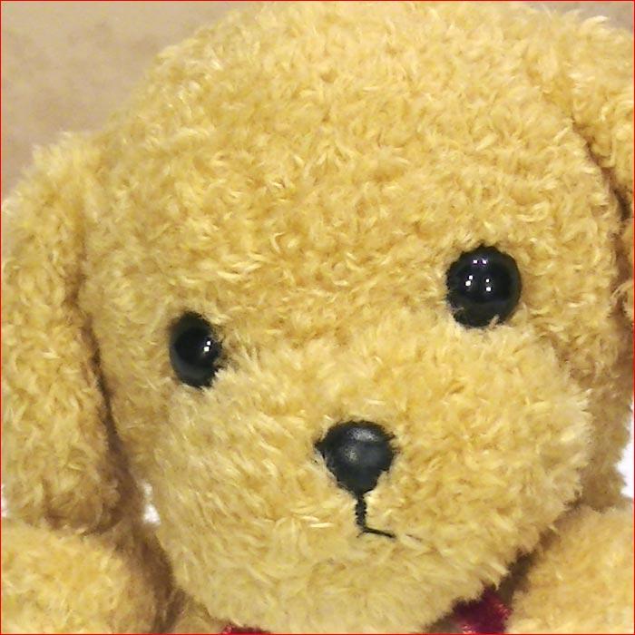 ぬいぐるみ トイプードル・薄茶 手乗りサイズ ふわふわ ふんわり ふかふか お土産 ギフト プレゼント 2329-46 |  | 01